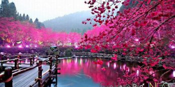 Cung hoàng đạo Bảo Bình nữ khi yêu sẽ như thế nào?