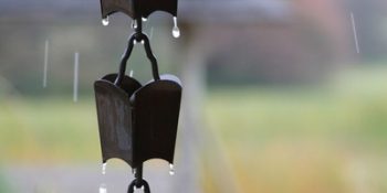 Cung Bảo Bình Có Hợp Với Cung Bọ Cạp Không?