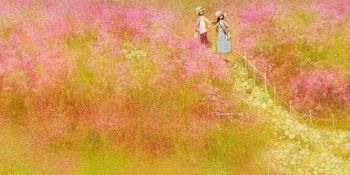 Cung Nhân Mã Có Hợp Với Cung Xử Nữ Không?