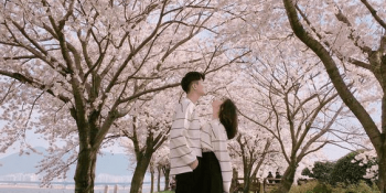 Cung Xà Phu Hợp Với Cung Nào Nhất Trong 13 Cung Hoàng Đạo?