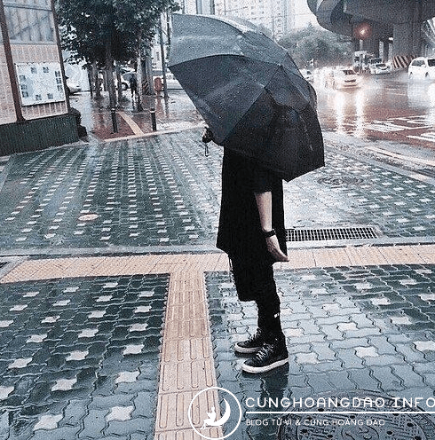 Cung Xà Phu Có Hợp Với Cung Kim Ngưu Không?