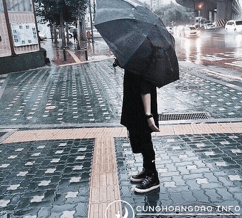 Cung Xà Phu Có Hợp Với Cung Kim Ngưu Không?