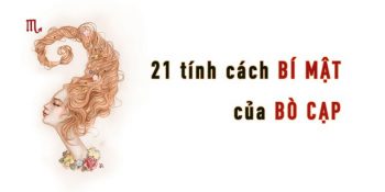 21 tính cách đặc trưng của Bò Cạp (Cung Thần Nông) chính xác nhất